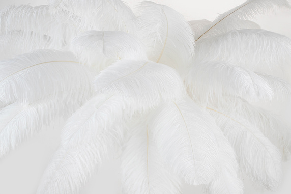 MOOSEE lampa podłogowa TIFFANY 175 biała mosiądz / naturalne pióra