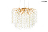 MOOSEE lampa wisząca RIVIERA 60 złota /   clear