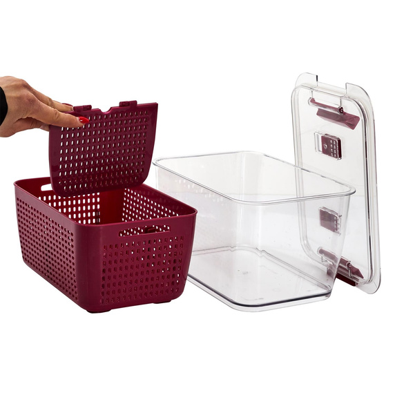 Pojemnik do przechowywania  w lodówce  owoców i warzyw bordowy