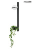 MOOSEE lampa ścienna PLANT WALL czarna