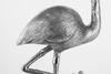 KARE patera / etażerka FLAMINGO srebrna