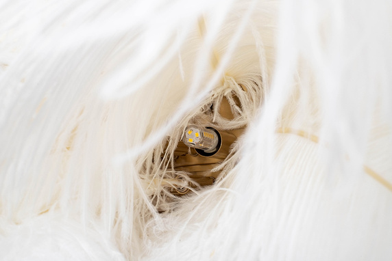 MOOSEE lampa wisząca TIFFANY 135 biała mosiądz / naturalne pióra