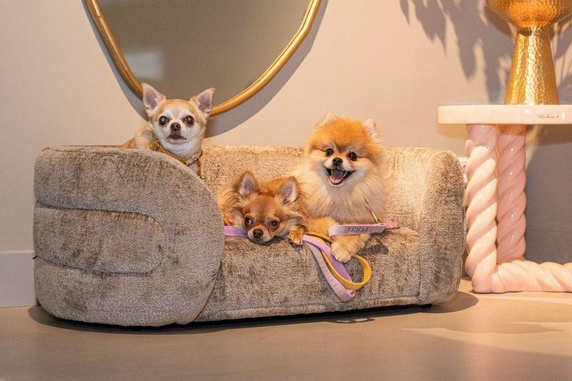 RICHMOND legowisko dla psa BINGO ciemny beż