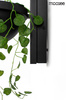 MOOSEE lampa ścienna PLANT WALL czarna