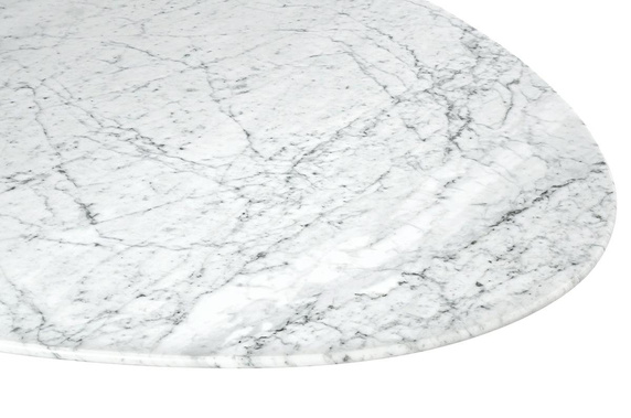 Stół TULIP ELLIPSE MARBLE CARRARA 200     biały - marmur, metal