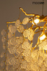 MOOSEE lampa wisząca RIVIERA 80 złota /   clear